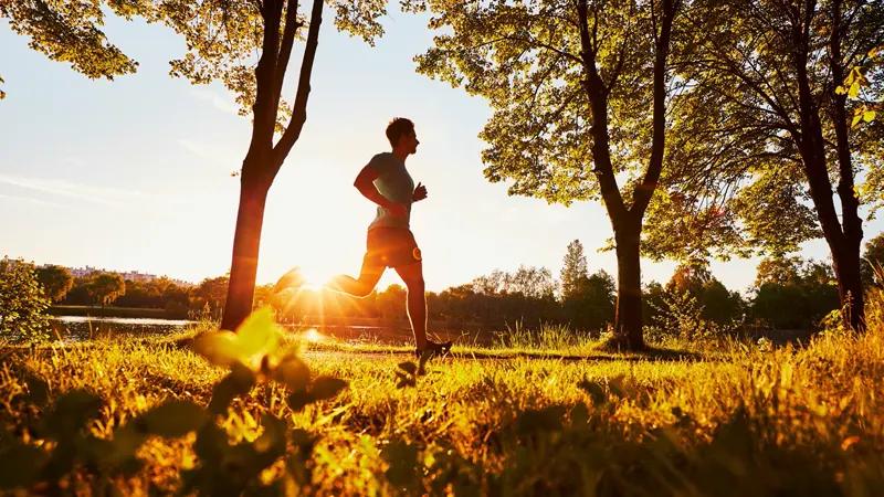 Green Wood - Image 3