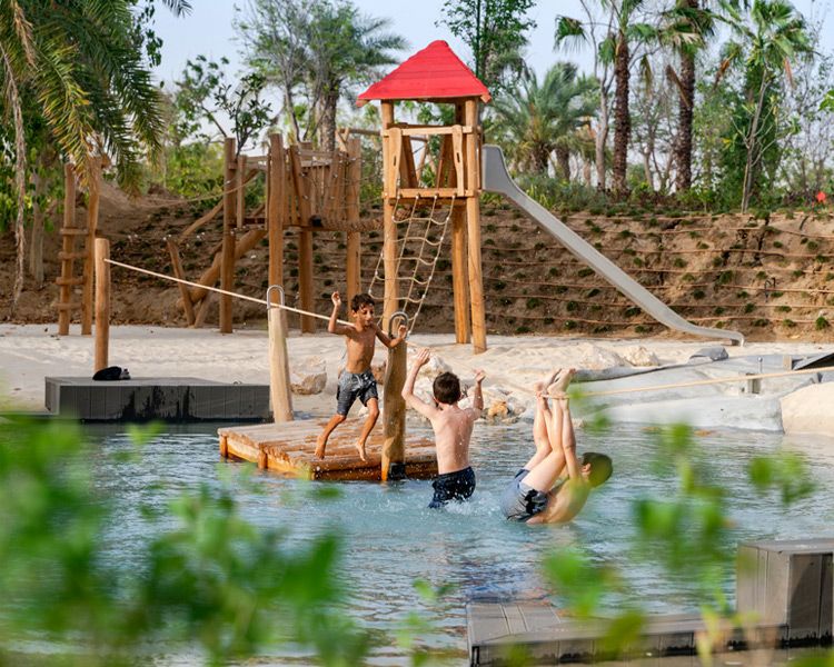 The Nest Revolution - Image 5