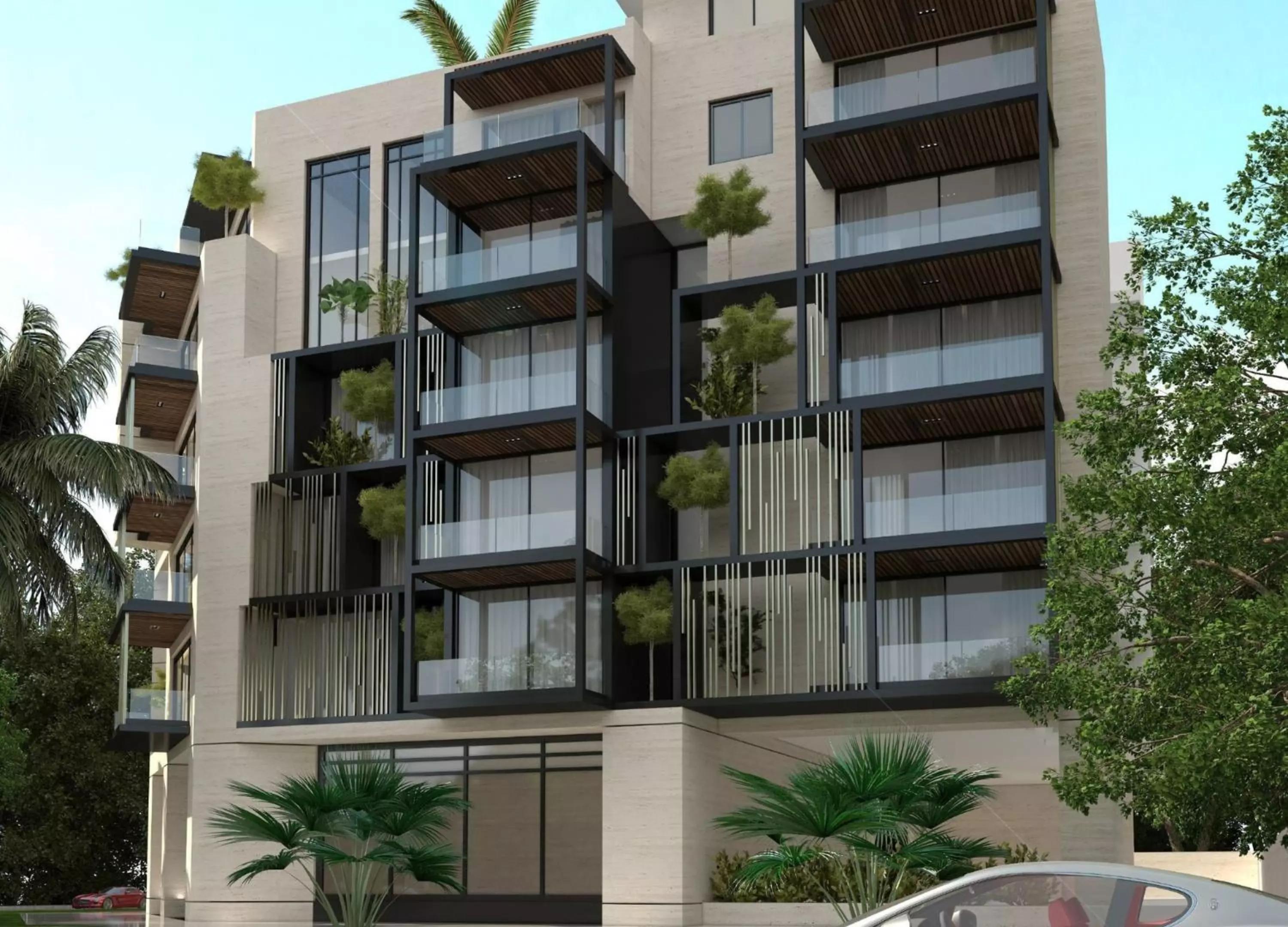 The Collection - Image 8