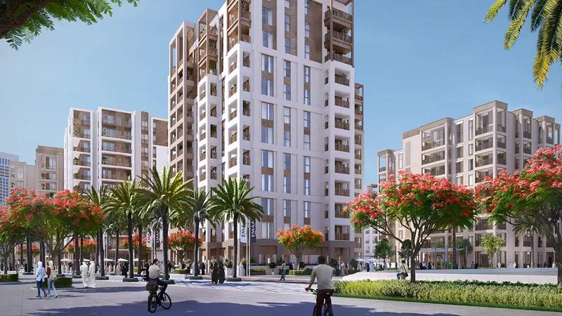 Mangrove at Creek Beach