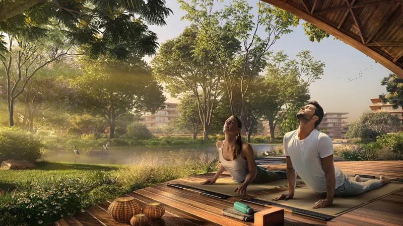 Serra at Ghaf Woods - Image 2