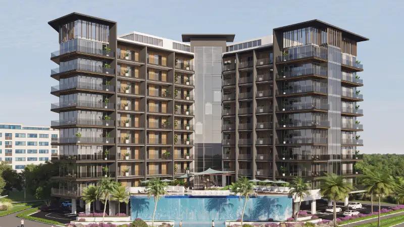 Floarea Grande - Image 3