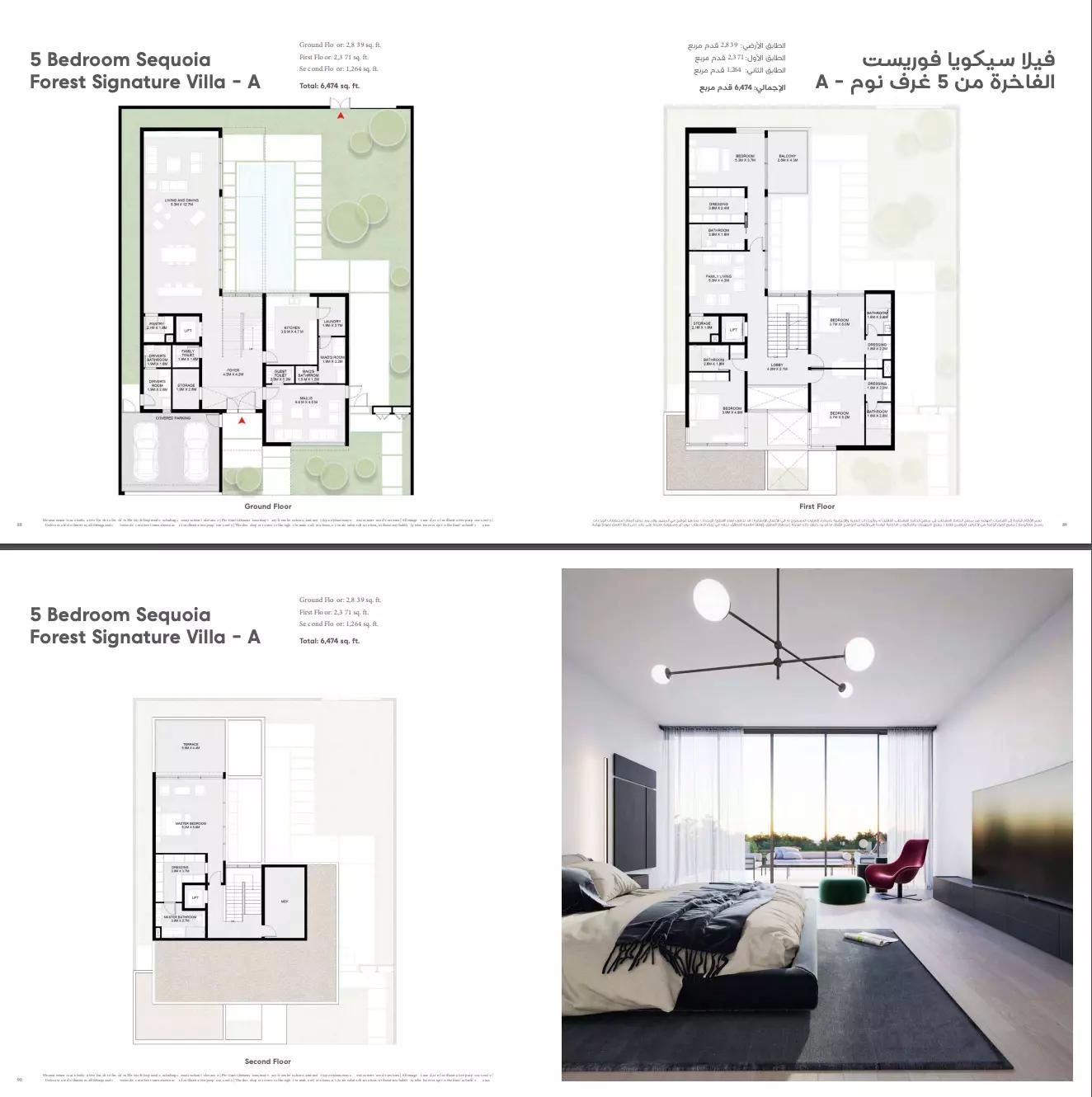 Forest Signature Type A