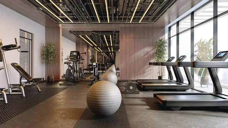 Arista One - Image 4