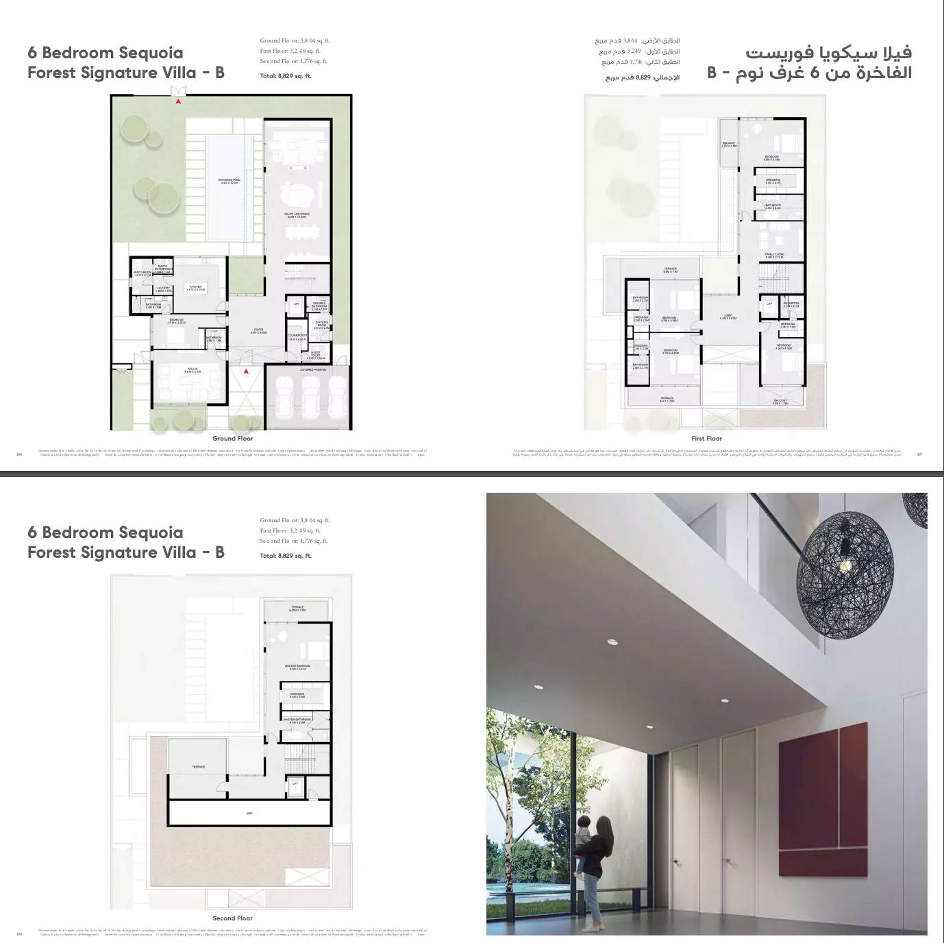 Forest Signature Type B