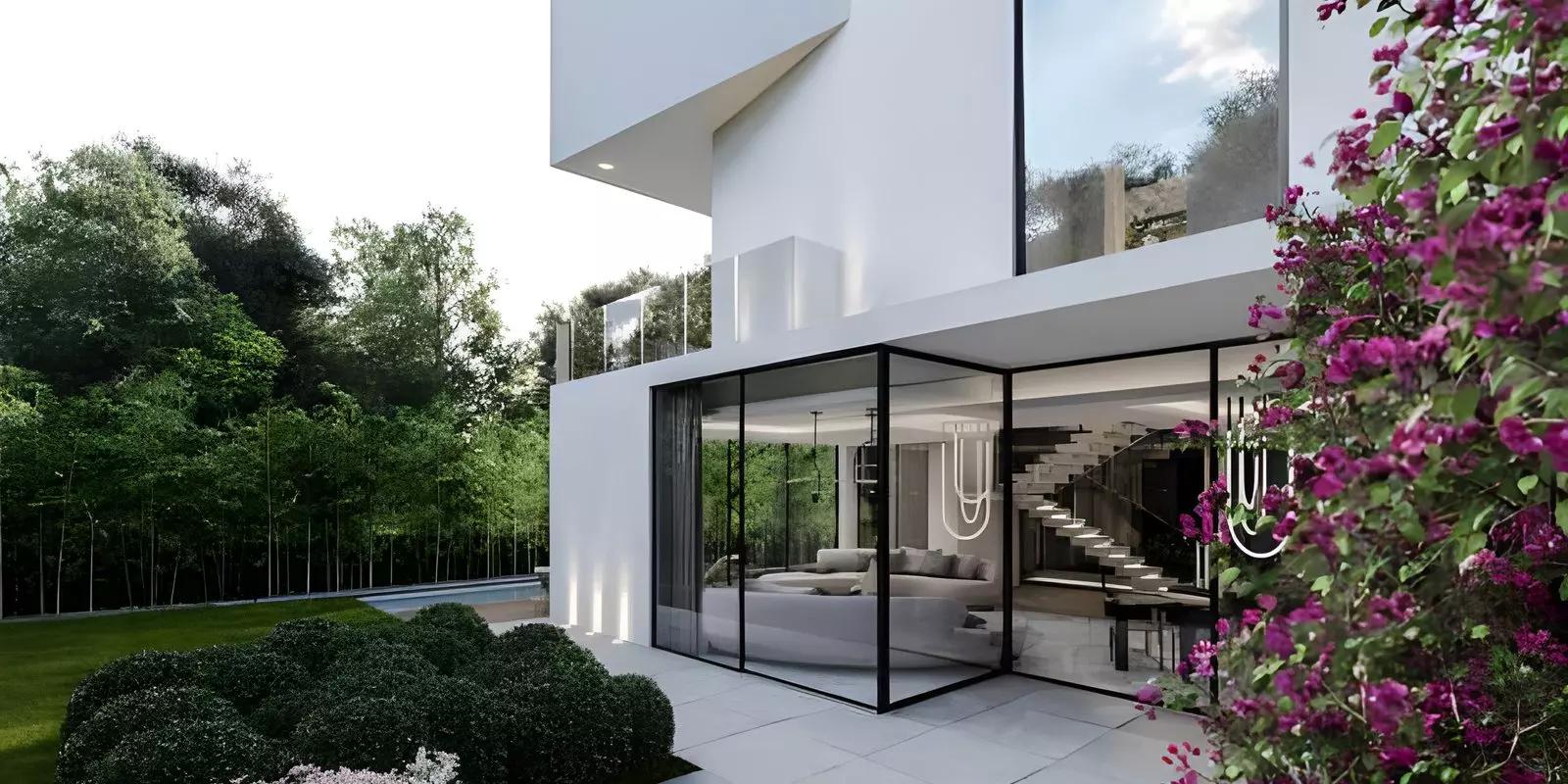 Chorisia 1 - Image 4