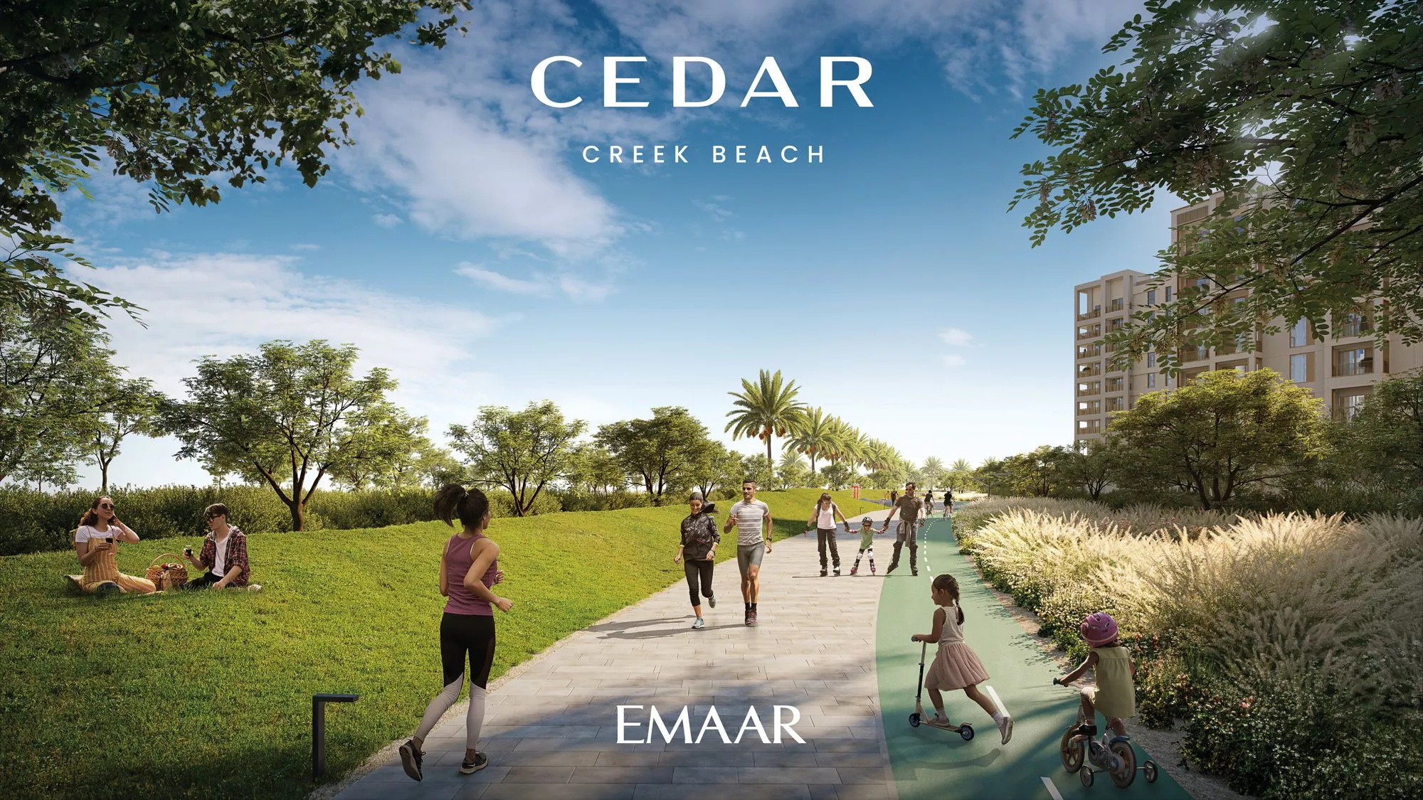 Cedar - Image 4