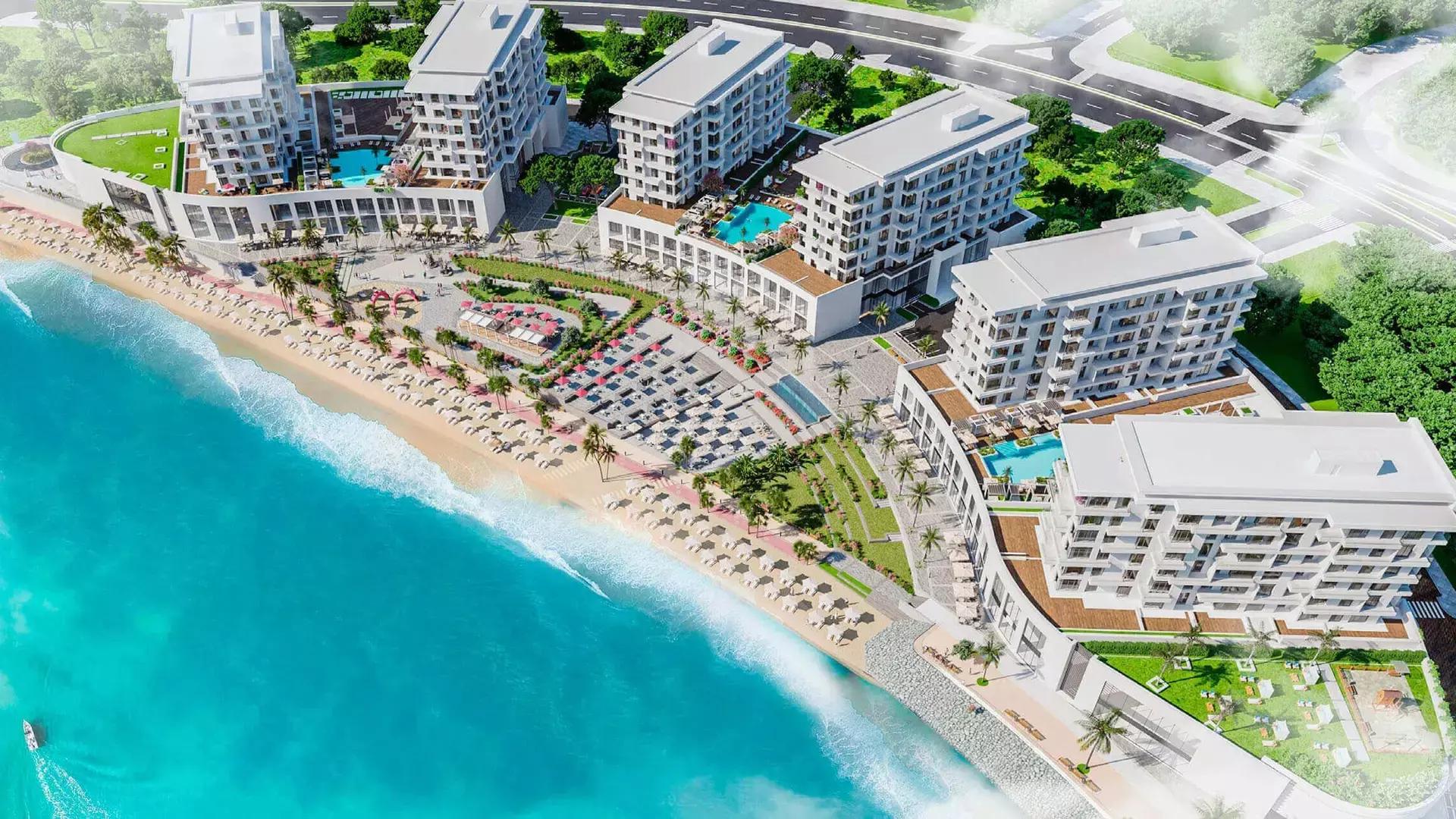 Blue Pearls - Image 4