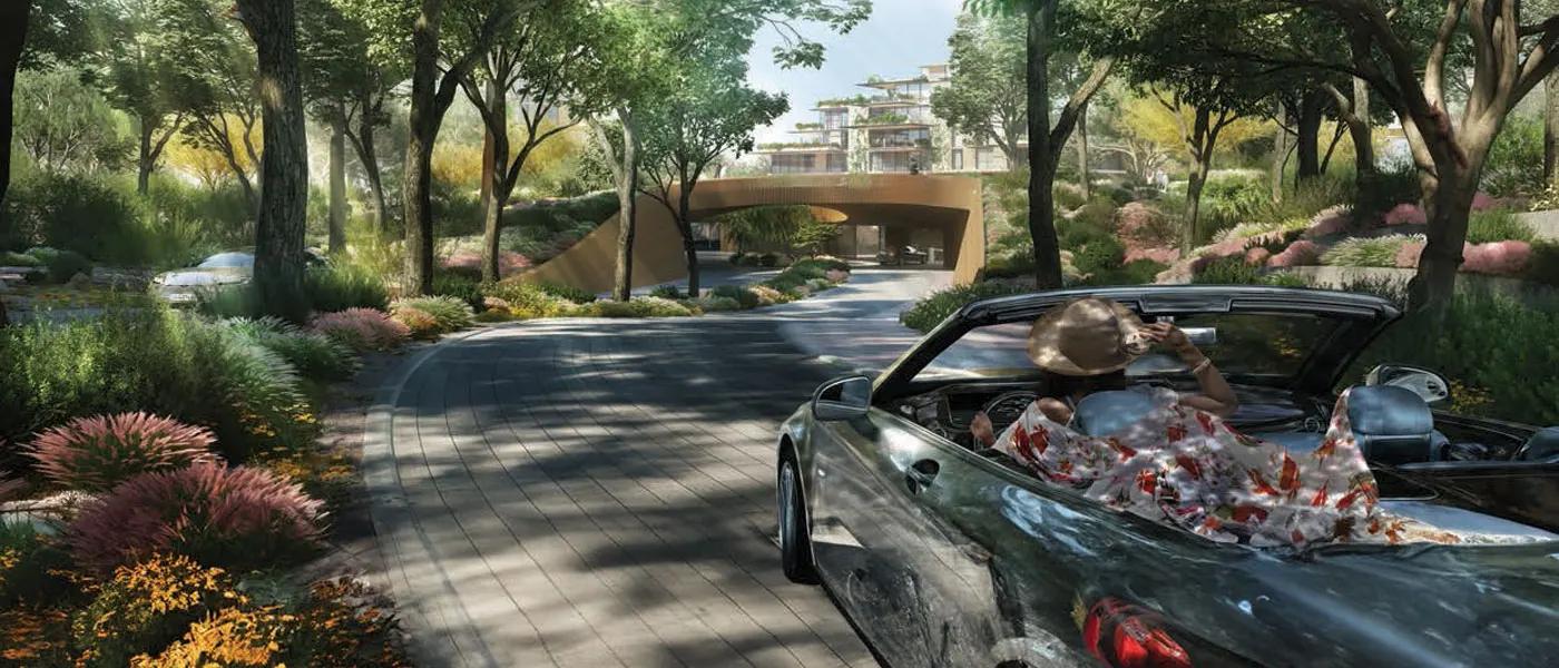 Ghaf Woods - Image 3