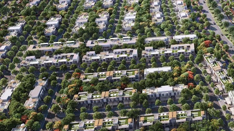 Green Wood  - Image 9