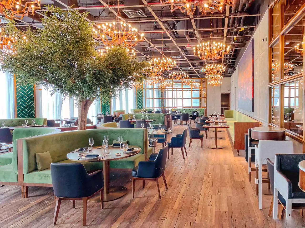 Terrace Apartments - Image 2