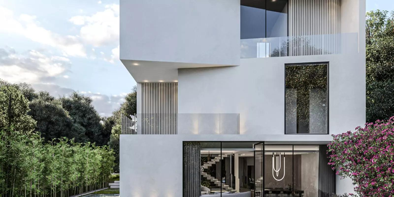 Chorisia 1 - Image 2