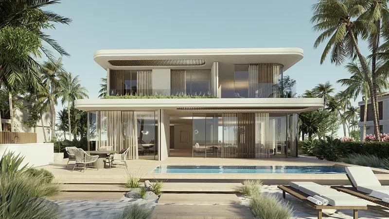 NB Collection - Image 3