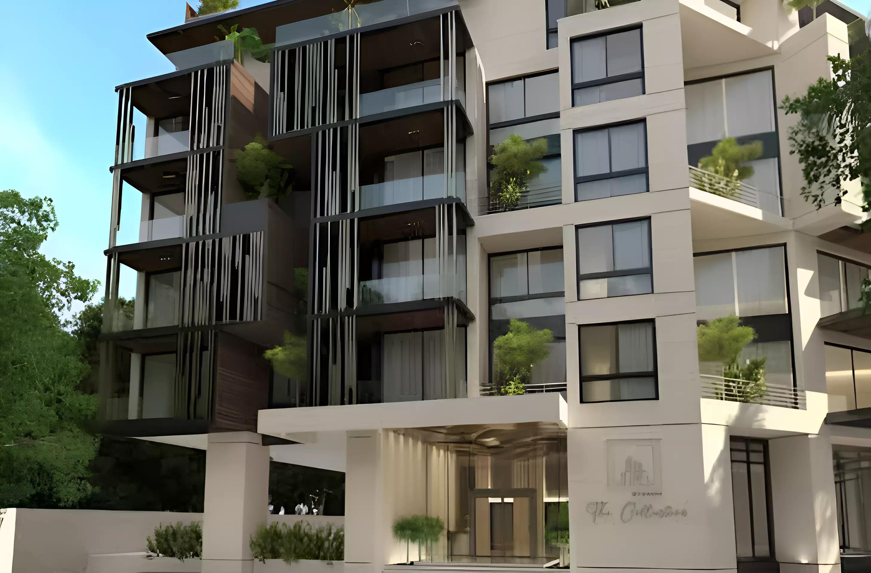 The Collection - Image 5