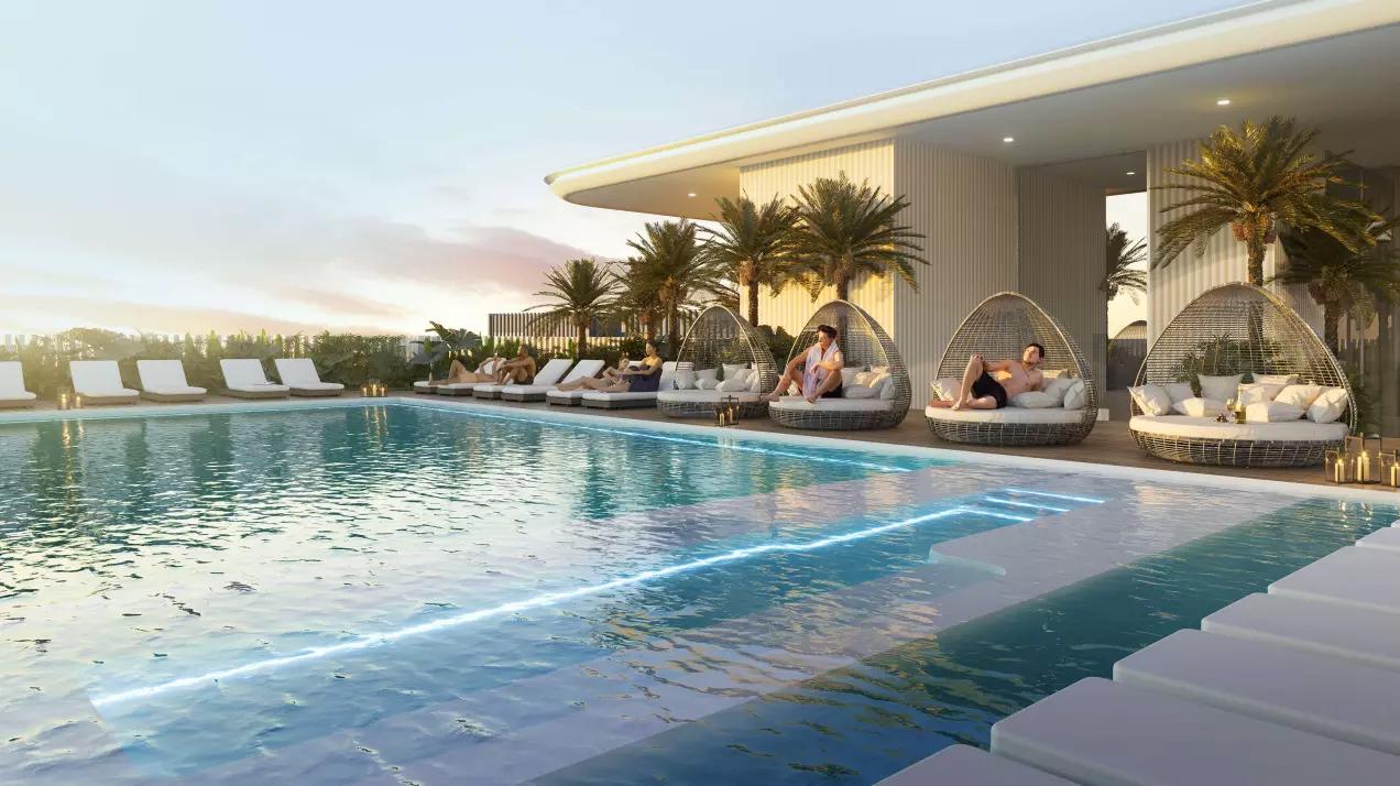 Cove Edition - Image 6