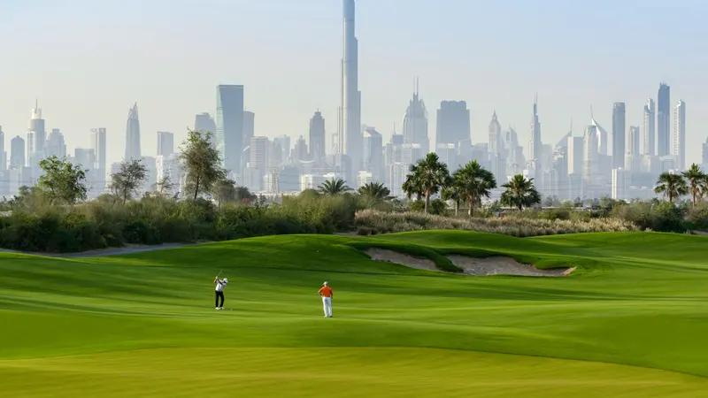 Lime Gardens - Image 4