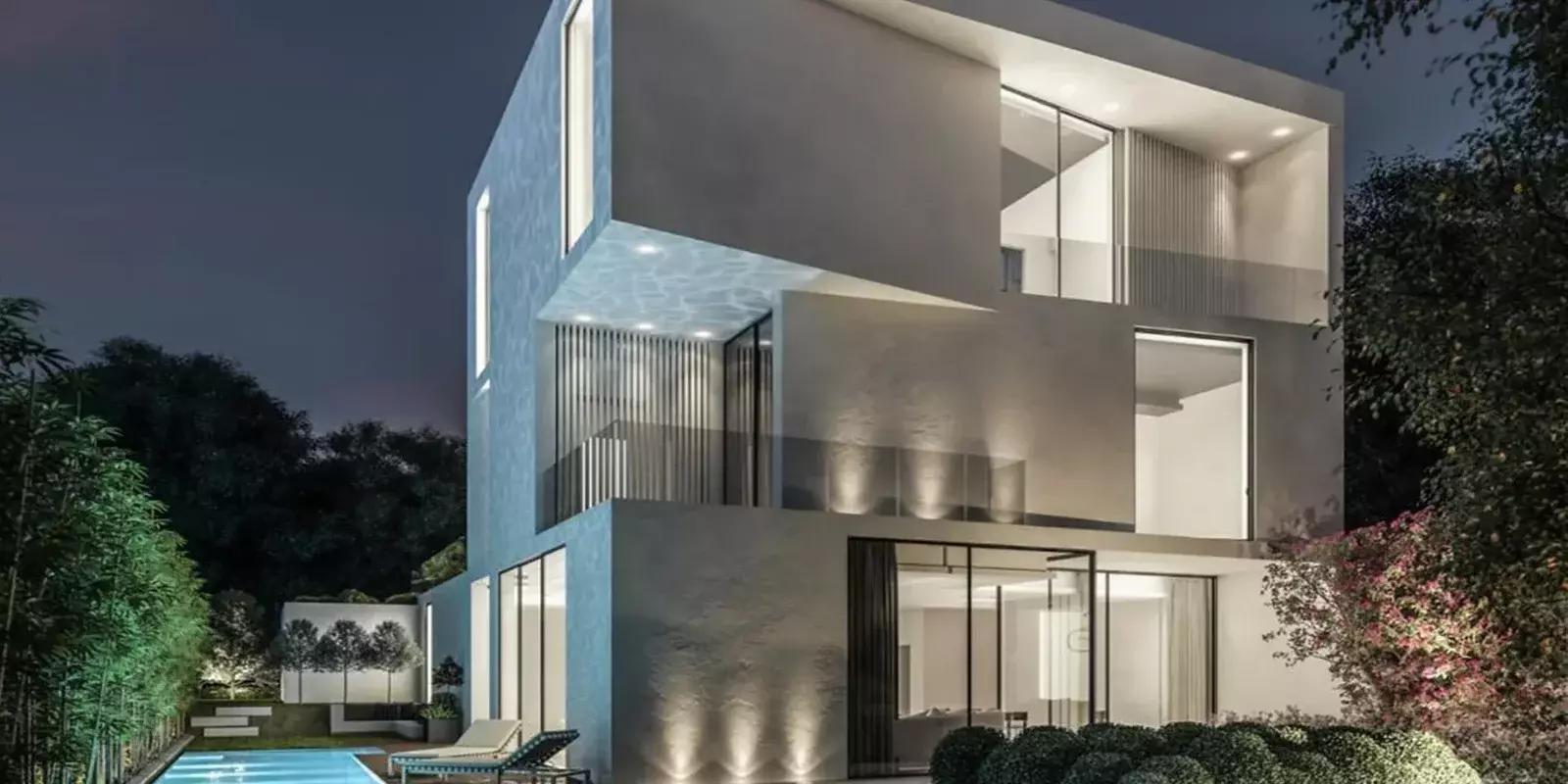 Chorisia 1 - Image 3