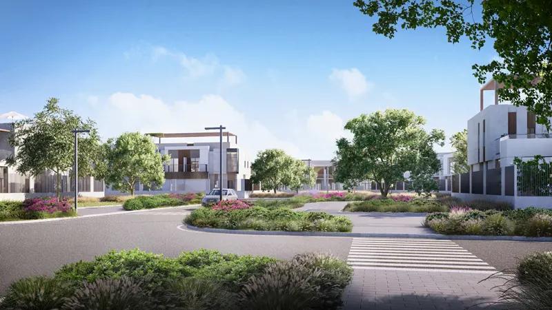 Green Wood  - Image 2