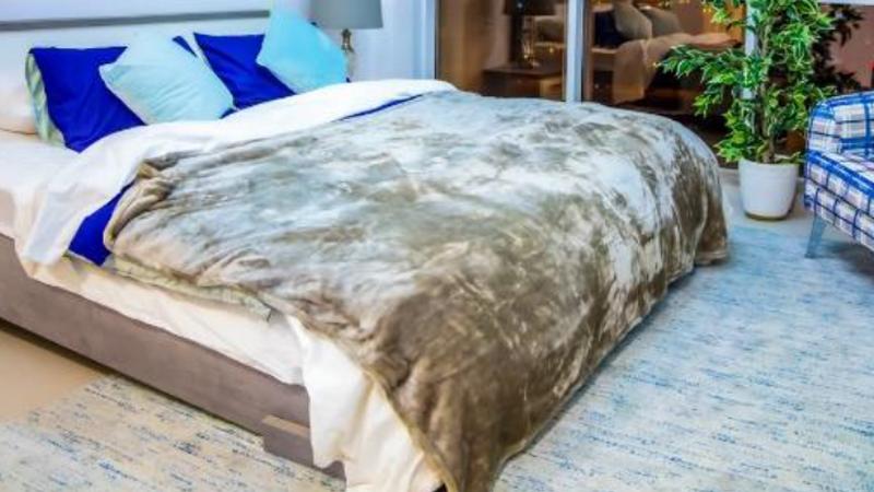 Vezul Residence - Image 4