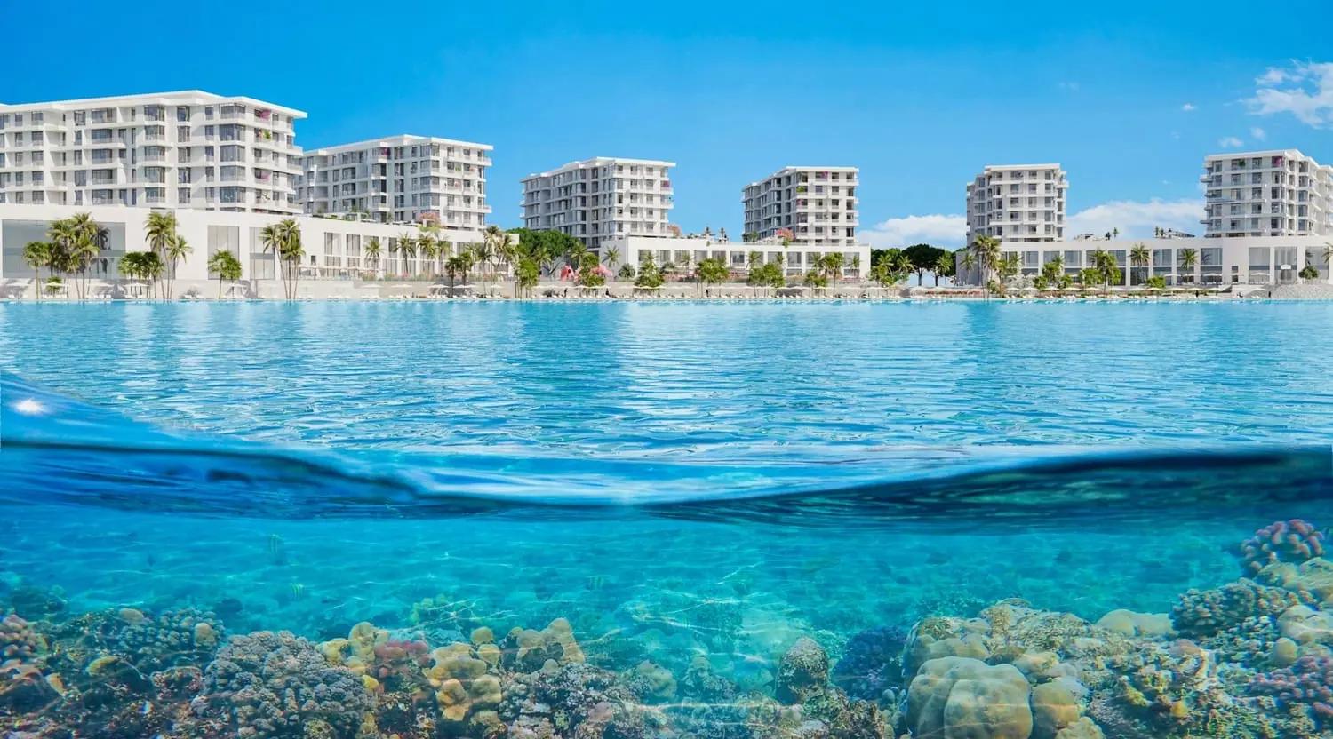 Blue Pearls - Image 3