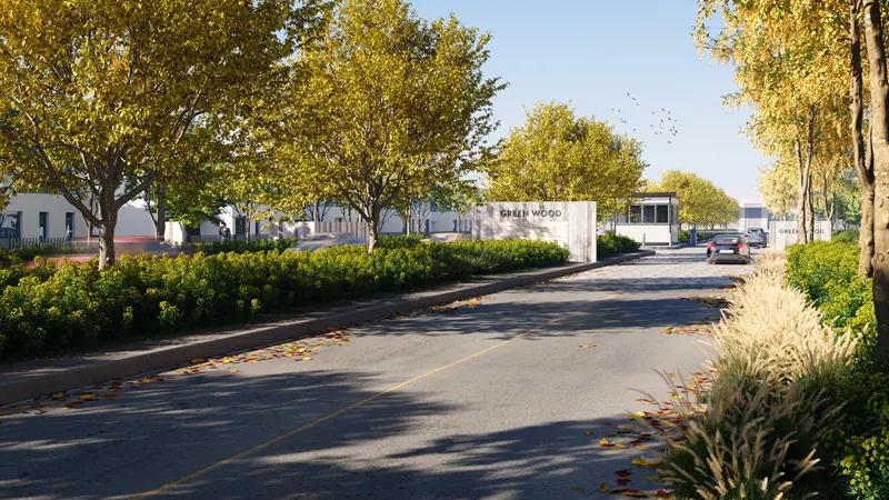 Green Wood  - Image 4