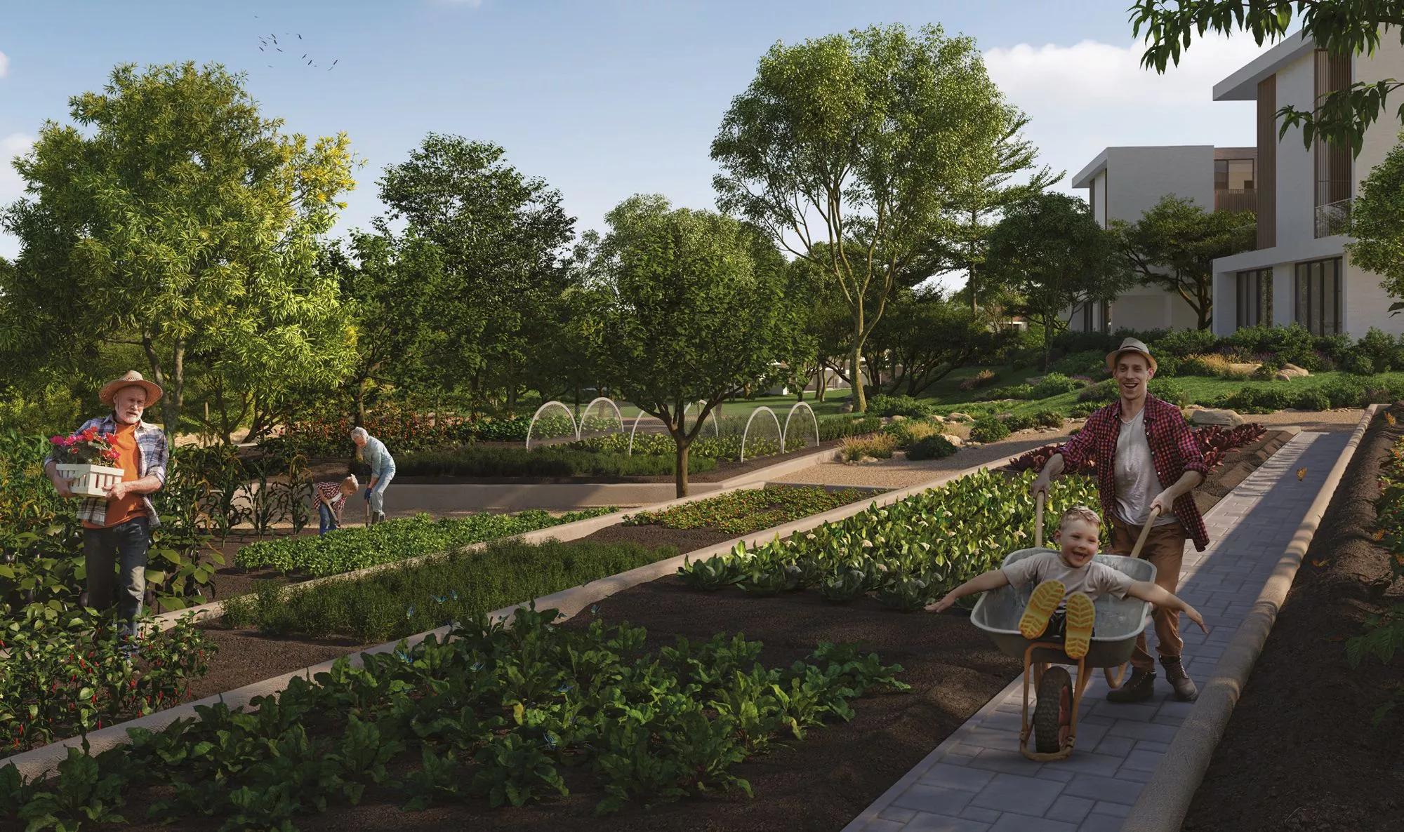 Shamsa Townhouses - Image 7