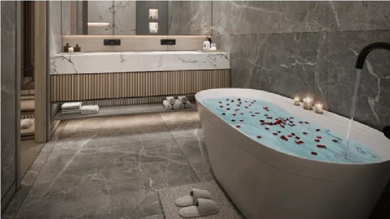 The First Collection - Image 3