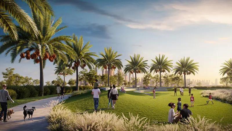 Mangrove at Creek Beach - Image 7