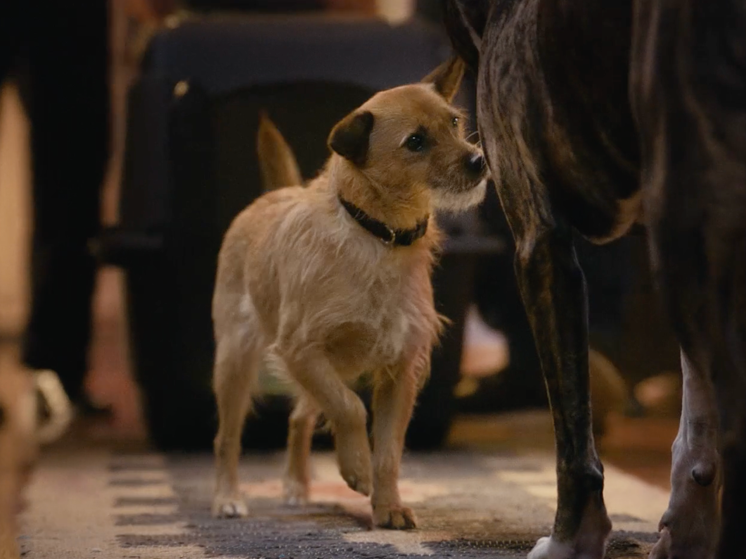 Super Bowl: Saving Sawyer