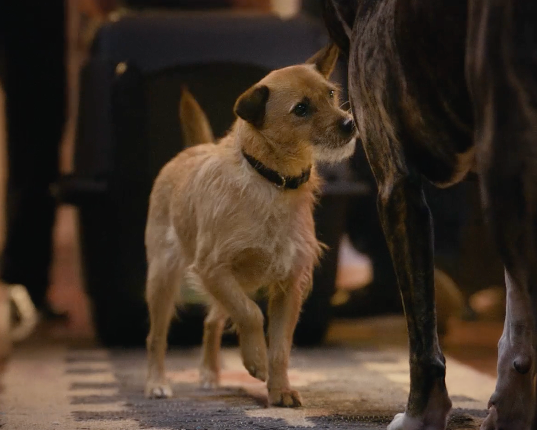 Super Bowl: Saving Sawyer