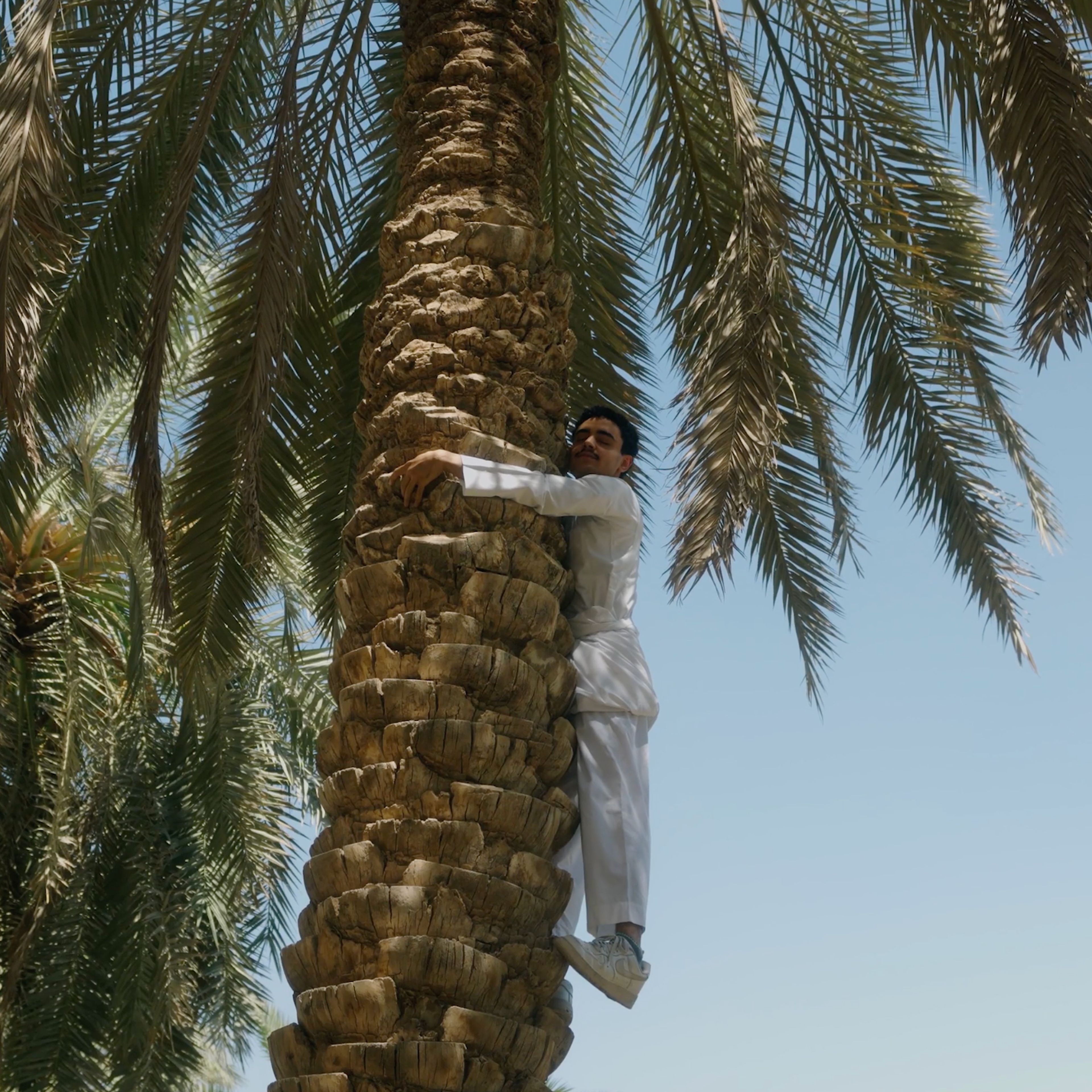 Hug a Palm Tree: Saudi National Day