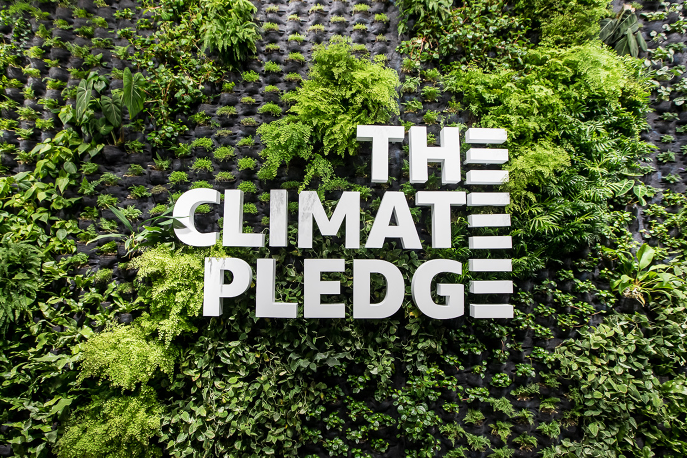 Cover Image for Climate Pledge Arena