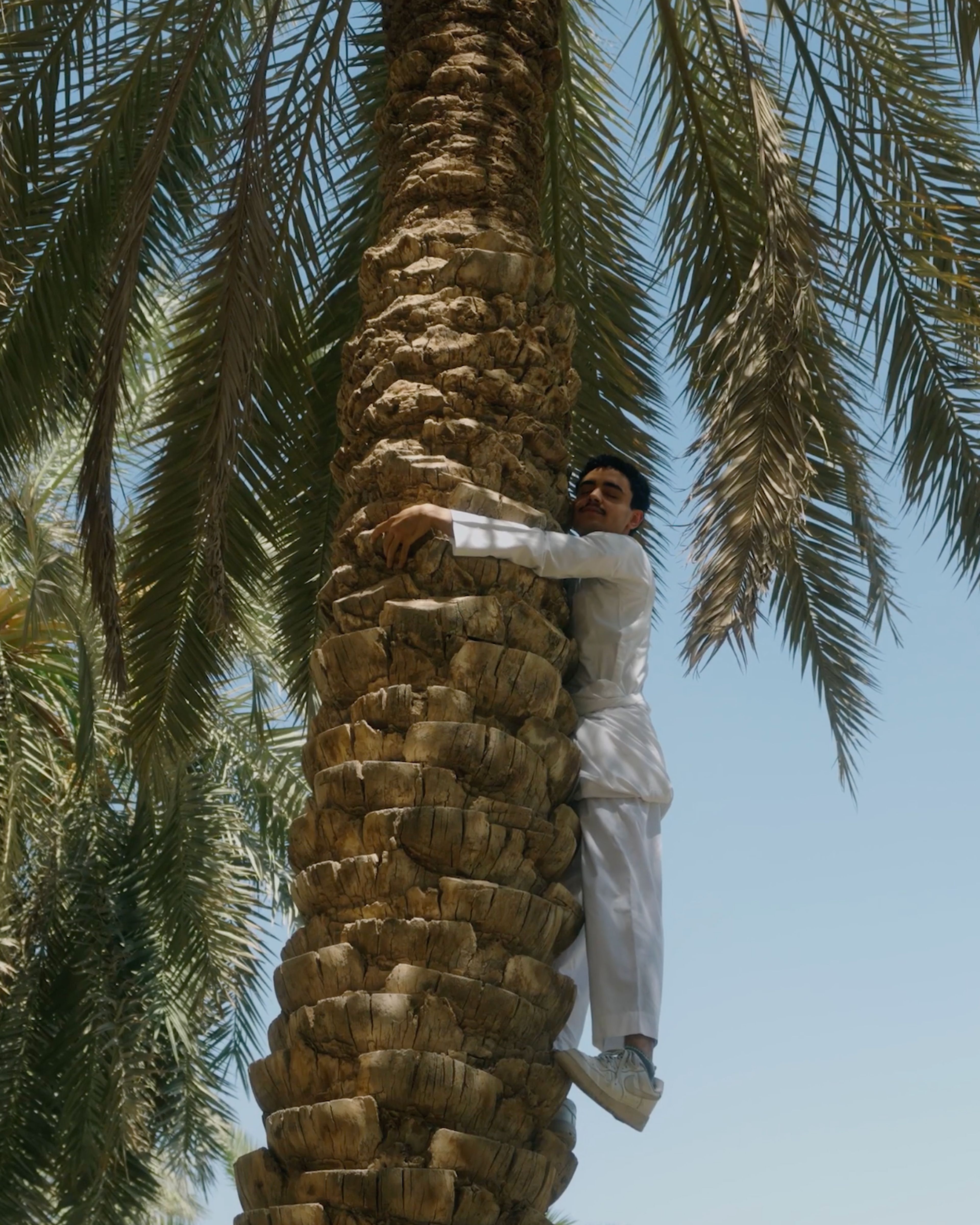 Hug a Palm Tree: Saudi National Day