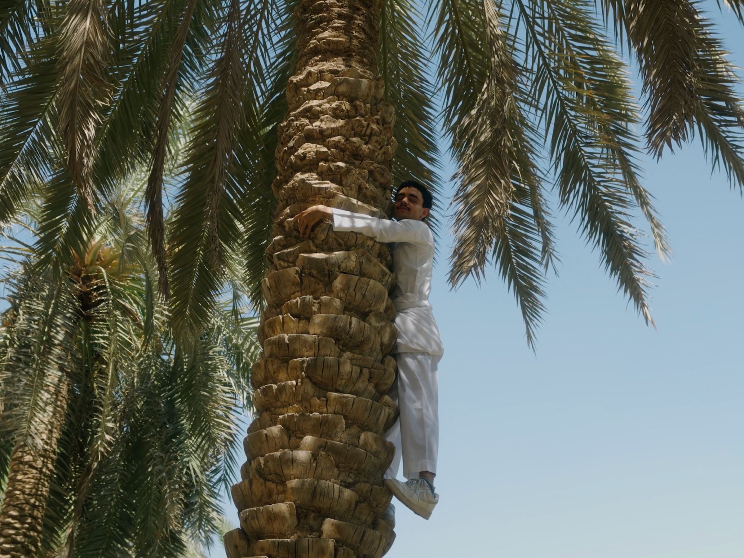 Hug a Palm Tree: Saudi National Day