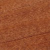 Mahogany texture
