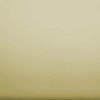 Polished Brass texture