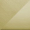 Satin Brass, Polished Brass Accent texture