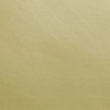 Satin Brass texture