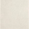 Pecora Alpaca texture