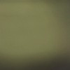 Eel green texture