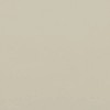 Palomino Tan texture