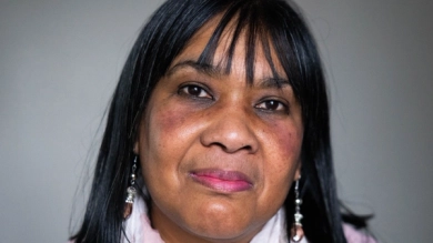 The Human Aspect ofElaine