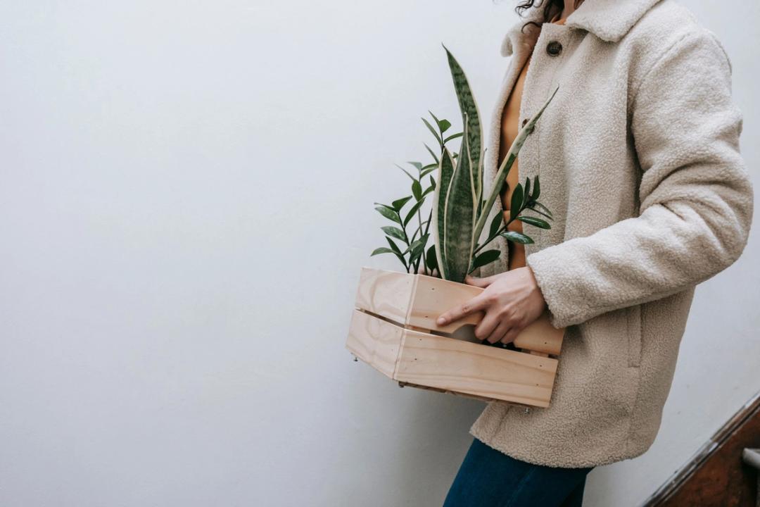 Une personne en manteau en peau de mouton porte une caisse en bois remplie de plantes en pot le long d'un mur blanc.