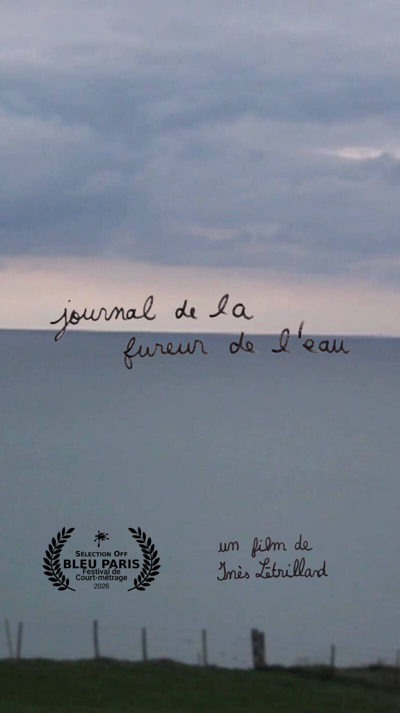 Affiche du film Journal de la fureur de l’eau