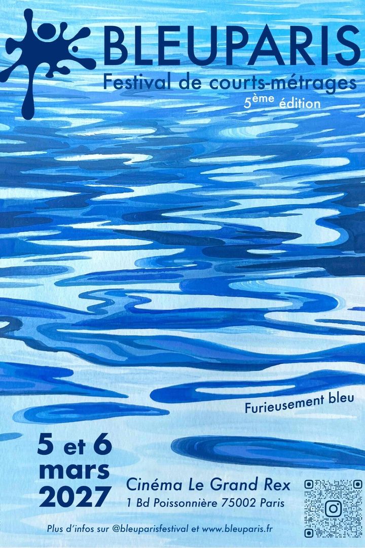 Affiche Bleu Paris 2027 — Furieusement bleu