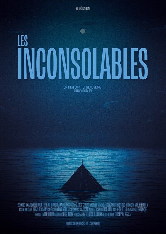 Affiche du film Les inconsolables