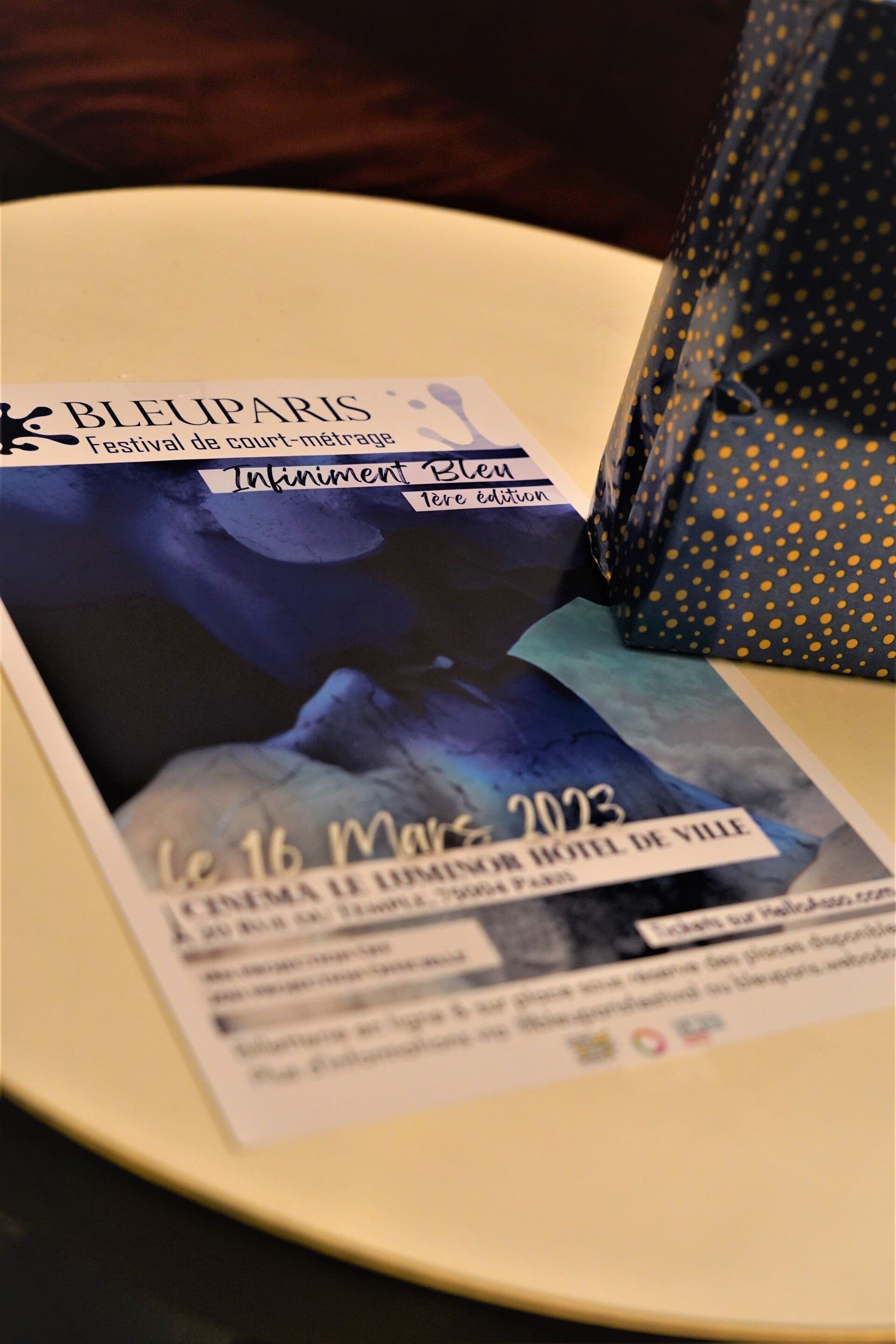 Le Festival Bleu Paris : une première édition inédite couronnée de succès