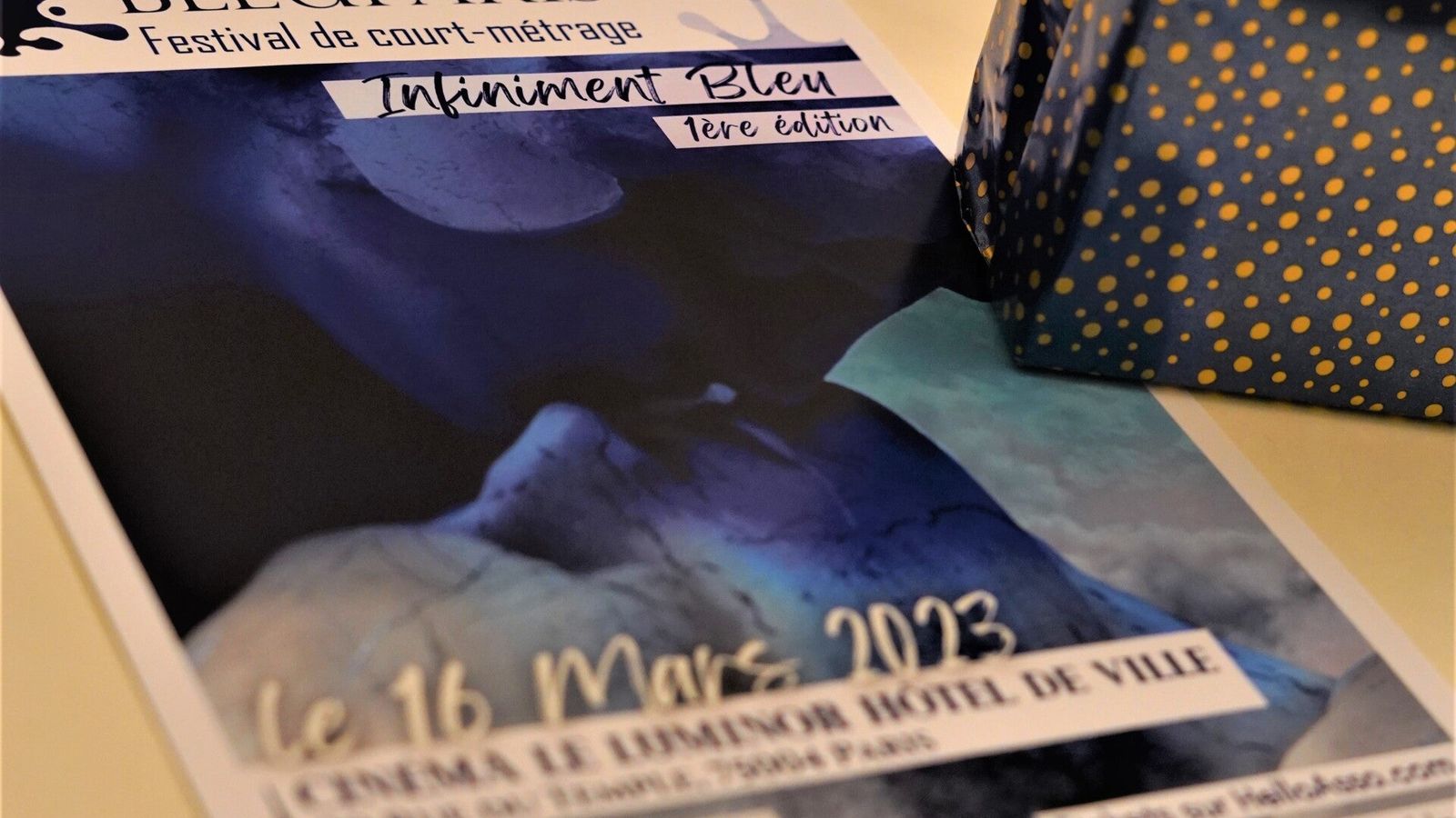 Le Festival Bleu Paris : une première édition inédite couronnée de succès