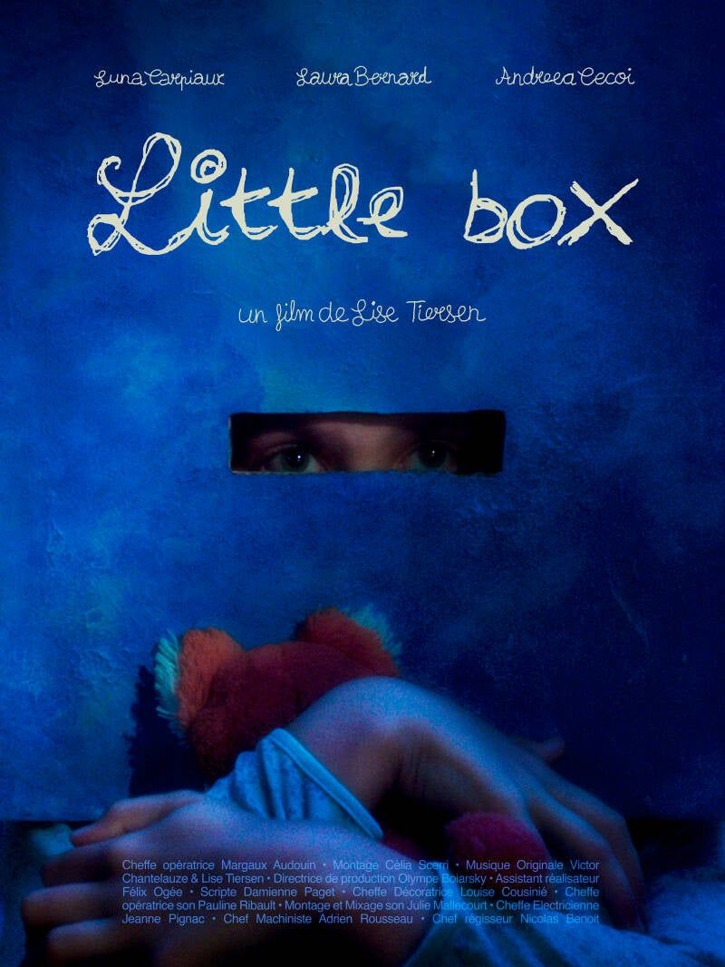 Affiche du film Little Box