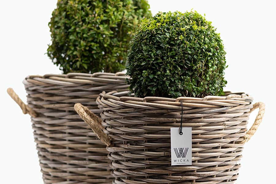 Plant Baskets | Wicka